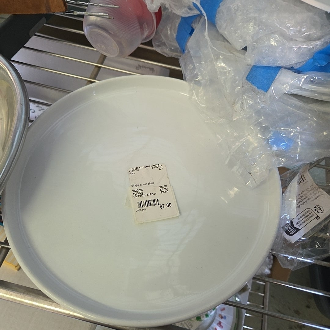 Single dinner plate