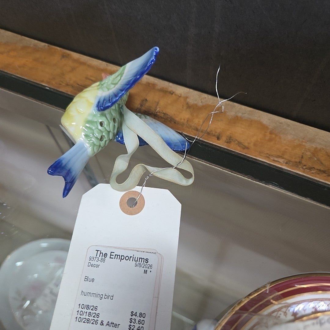 humming bird