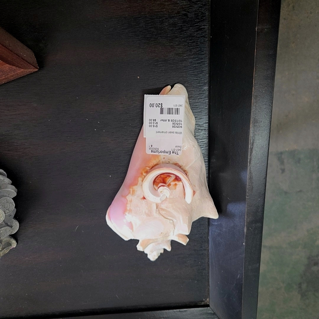 Conchshell ornament