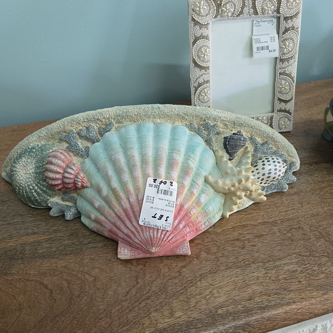 Seashell wall decor set