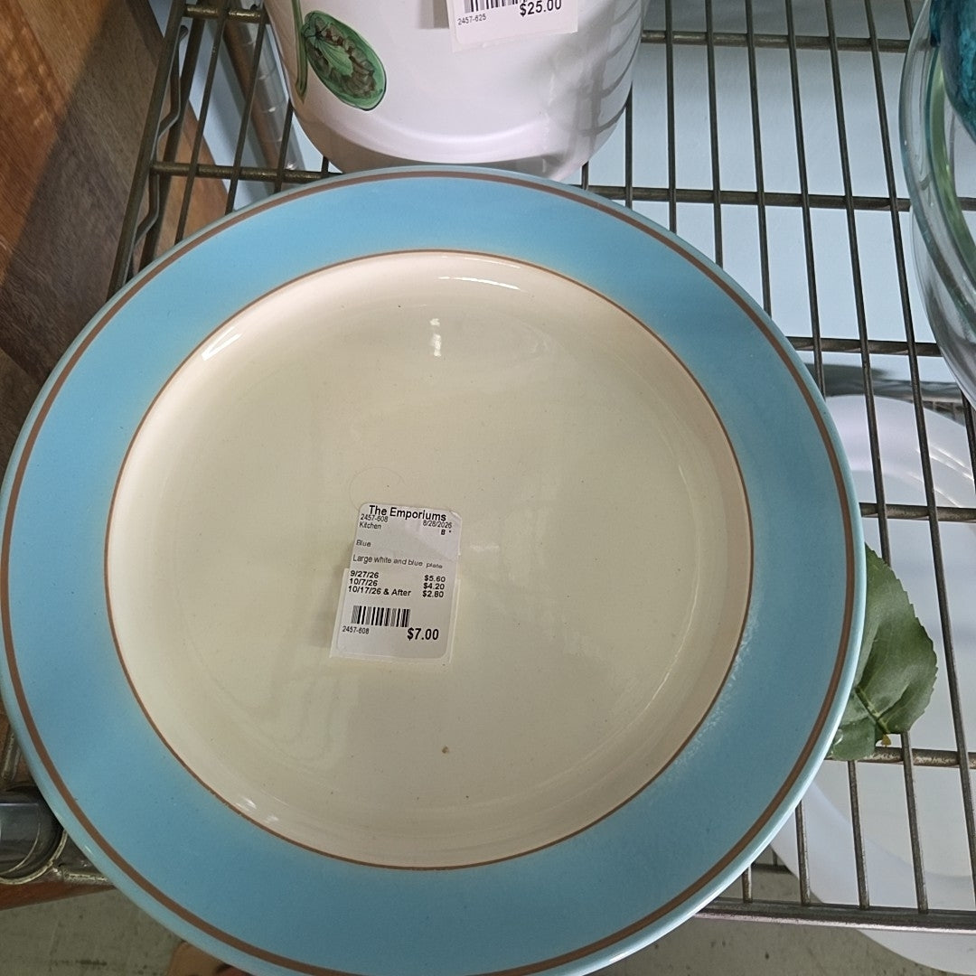 Large white and blue  plate